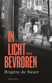 Omslag van In licht bevroren