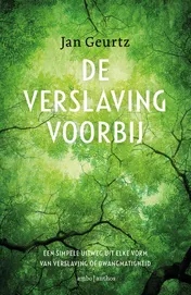 Omslag van De verslaving voorbij