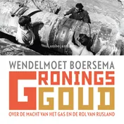 Omslag van Gronings goud
