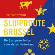 Omslag van Sluiproute Brussel