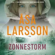 Omslag van Zonnestorm