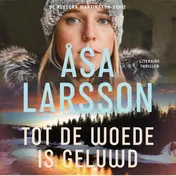 Omslag van Tot de woede is geluwd