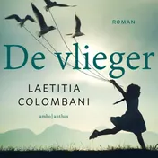 Omslag van De vlieger