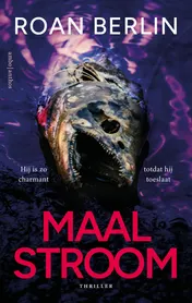 Omslag van Maalstroom