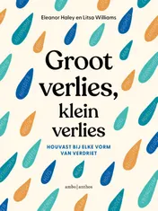 Omslag van Groot verlies, klein verlies