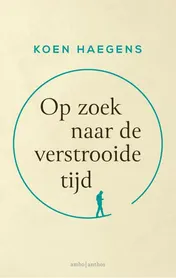 Omslag van Op zoek naar de verstrooide tijd