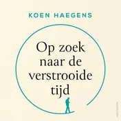 Omslag van Op zoek naar de verstrooide tijd