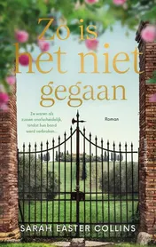 Omslag van Zo is het niet gegaan