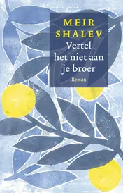 Omslag van Vertel het niet aan je broer