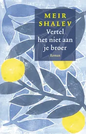Omslag van Vertel het niet aan je broer