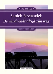 Omslag van De wind vindt altijd zijn weg