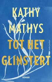 Omslag van Tot het glinstert
