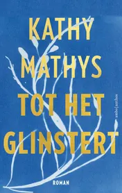 Omslag van Tot het glinstert