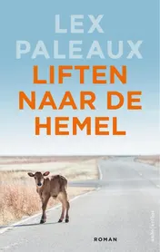 Omslag van Liften naar de hemel