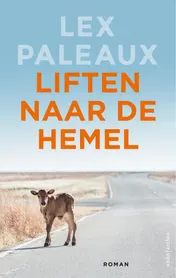 Omslag van Liften naar de hemel