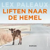 Omslag van Liften naar de hemel
