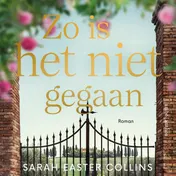 Omslag van Zo is het niet gegaan