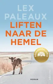 Omslag van Liften naar de hemel