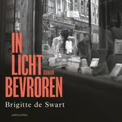 Omslag van In licht bevroren