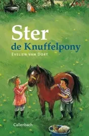 Omslag van Ster de knuffelpony