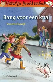 Omslag van Bang voor een knal