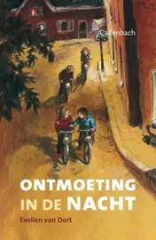 Omslag van Ontmoeting in de nacht