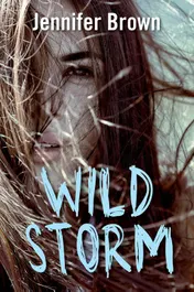 Omslag van Wild storm