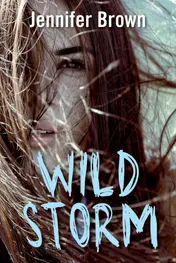 Omslag van Wild storm