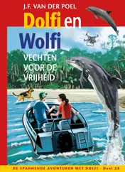 Omslag van Dolfi en Wolfi vechten voor de vrijheid