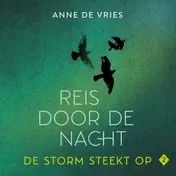 Omslag van De storm steekt op