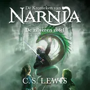 Omslag van De zilveren zetel