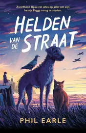 Omslag van Helden van de straat