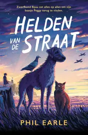 Omslag van Helden van de straat