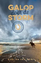 Omslag van Galop door de storm