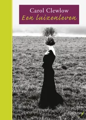 Omslag van Een luizenleven