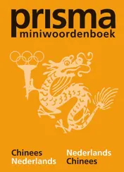 Omslag van Prisma miniwoordenboek Chinees