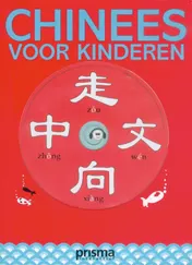 Omslag van Chinees voor kinderen