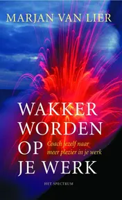 Omslag van Wakker worden op je werk
