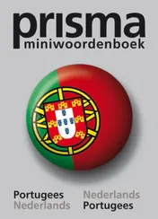 Omslag van Prisma miniwoordenboek Portugees