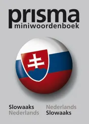 Omslag van Prisma miniwoordenboek Slowaaks