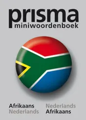 Omslag van Prisma mini Afrikaans