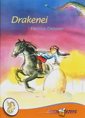 Omslag van Drakenei
