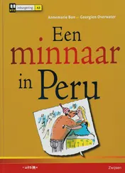 Omslag van Een minnaar in Peru