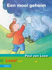 Omslag van Een mooi geheim