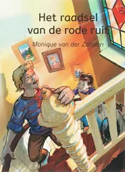 Omslag van Het raadsel van de rode ruit