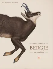 Omslag van Bergje