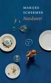 Omslag van Noodweer