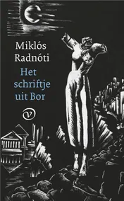Omslag van Het schriftje uit Bor