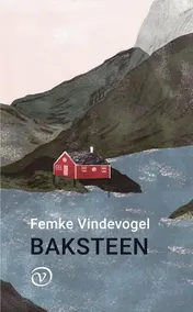 Omslag van Baksteen