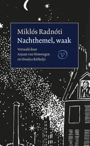 Omslag van Nachthemel, waak